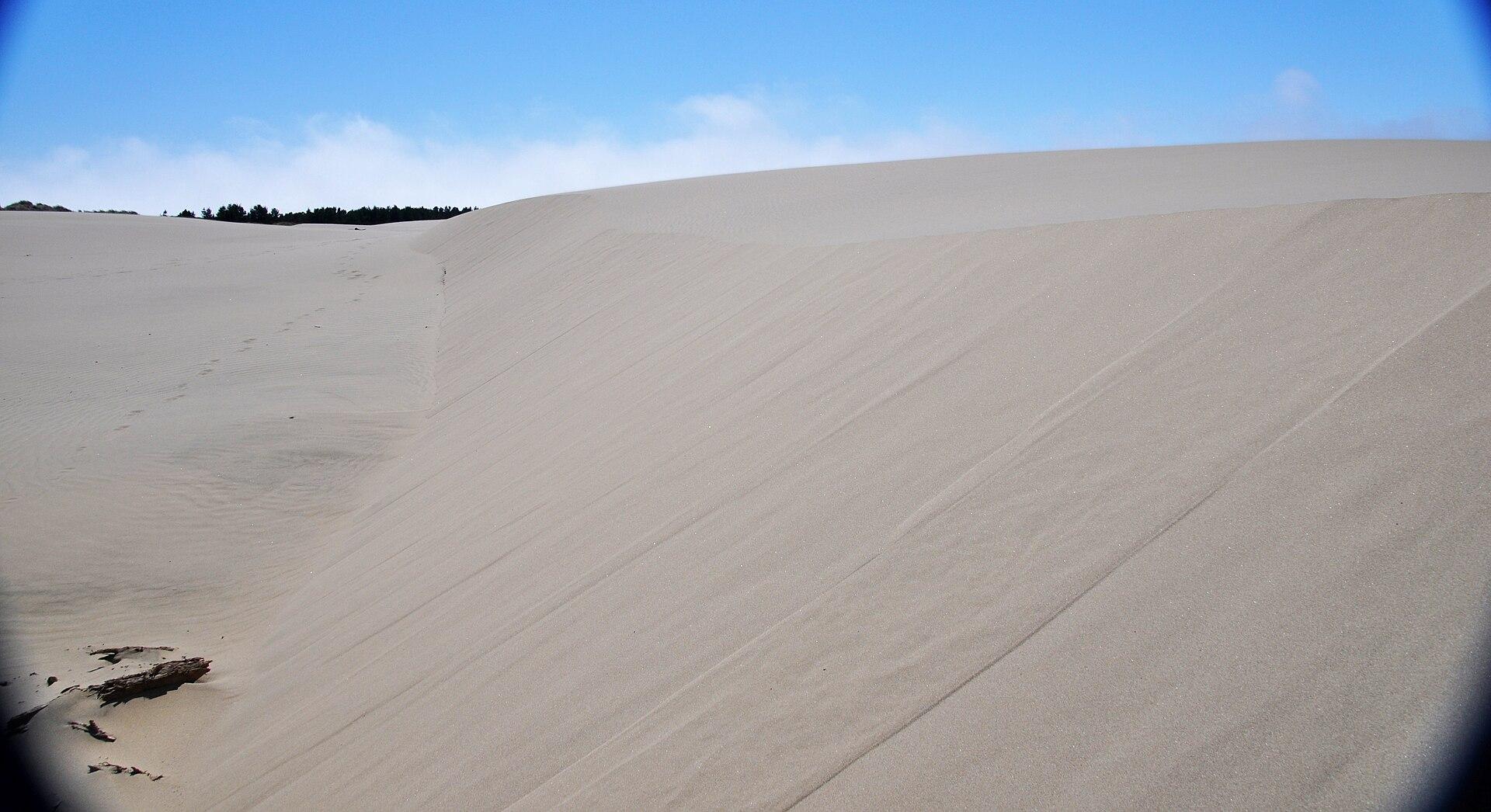 Florence, Lane County Oregon