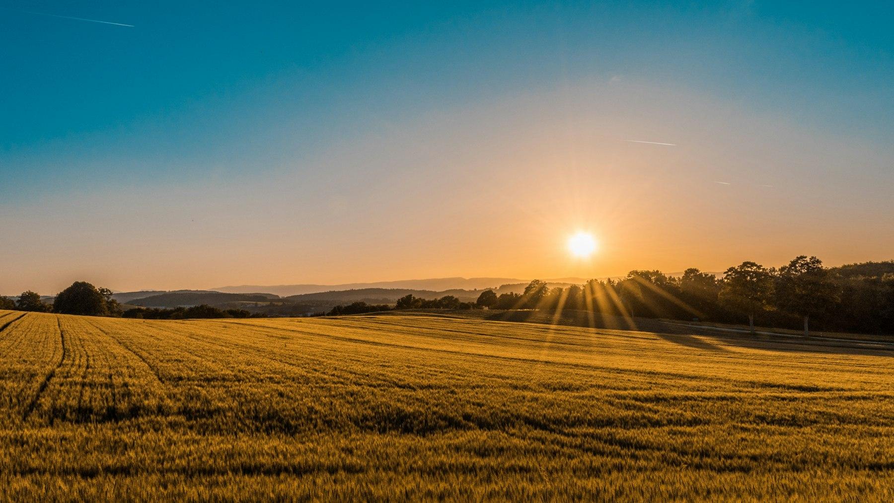 Homes for sale in Junction City, Oregon