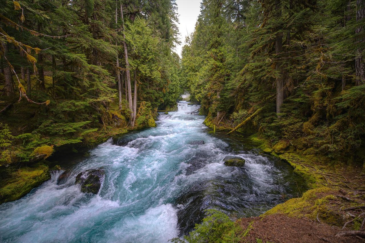 Cougar Hot Springs (Terwilliger)