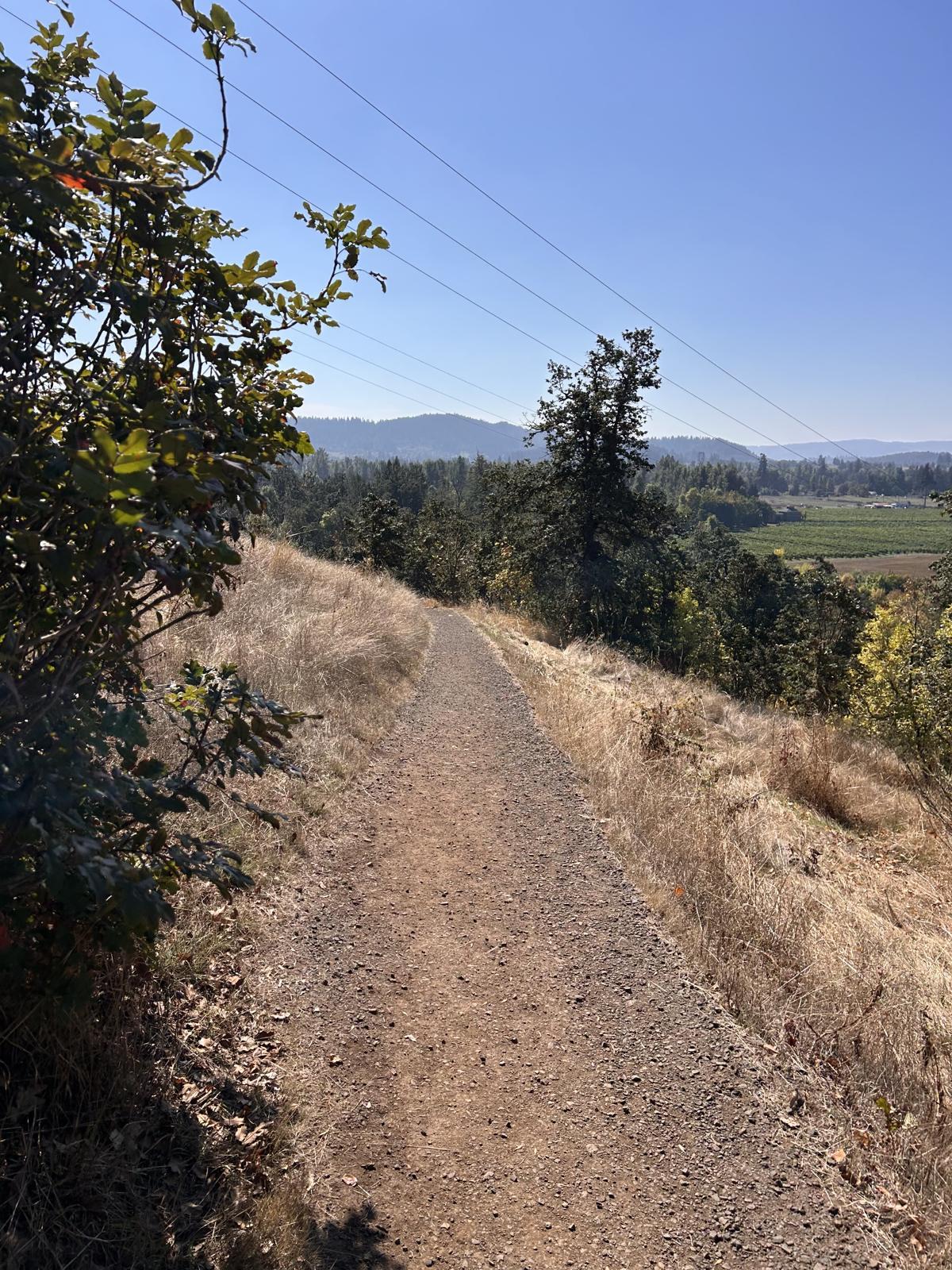 Mount Pisgah trail toward Eugene–Springfield valley farms