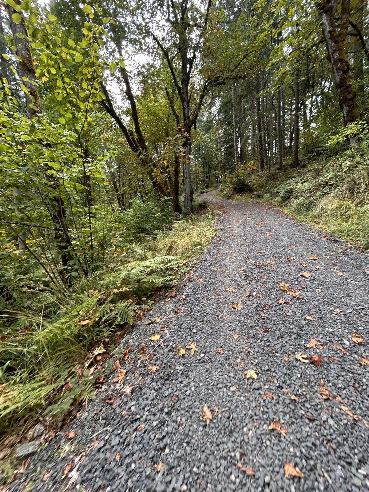 Mount Pisgah Trail #1 gravel climb near Eugene, Oregon