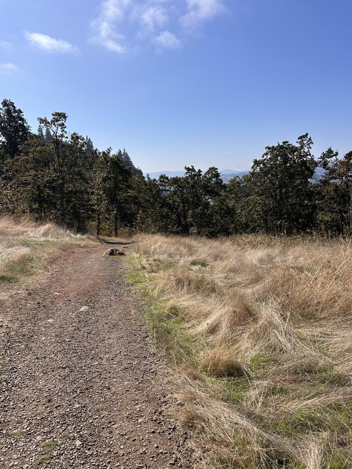 Oak savanna on the Mount Pisgah hike Eugene trail