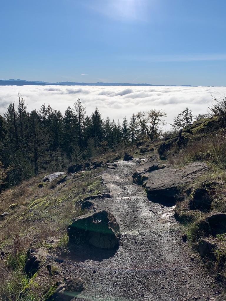 Spencer Butte trail — Eugene’s backyard hike