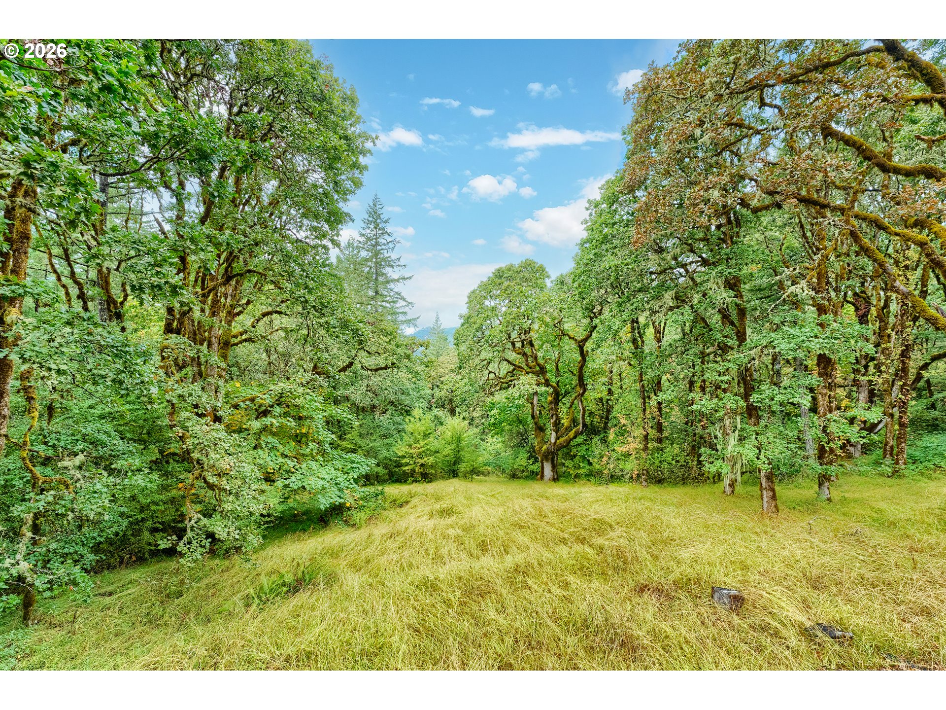 7210 NW Grandview DR, Corvallis, OR 97330, photo 3 of 44
