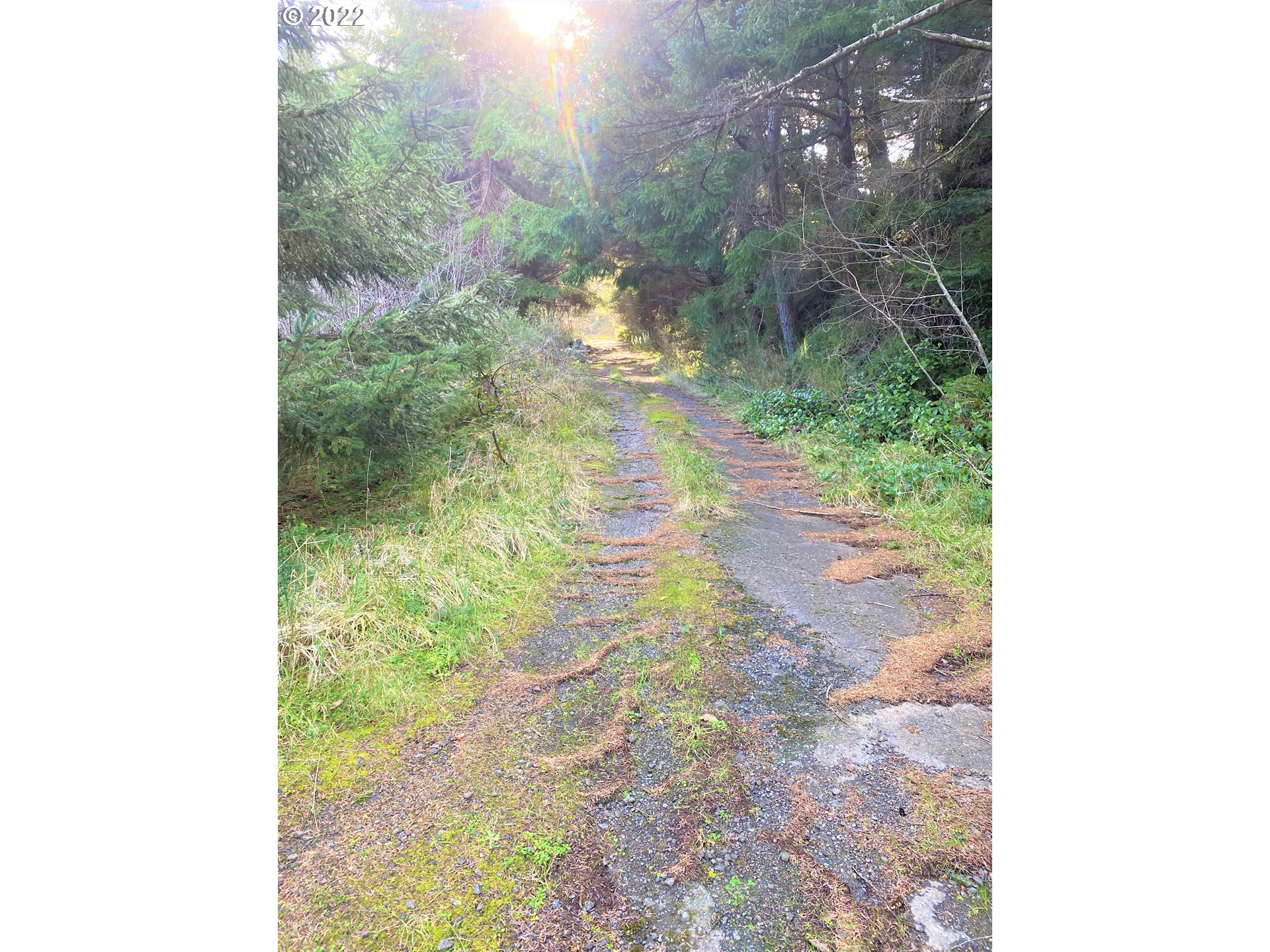Mill Stream RD, Gold Beach, OR 97444, photo 6 of 33