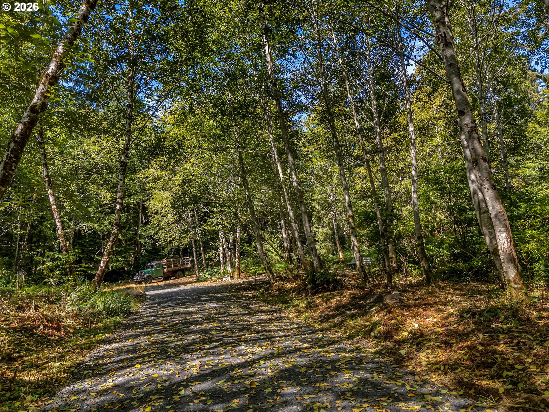 Land end of Beech ST, Cannon Beach, OR 97110, photo 7 of 41