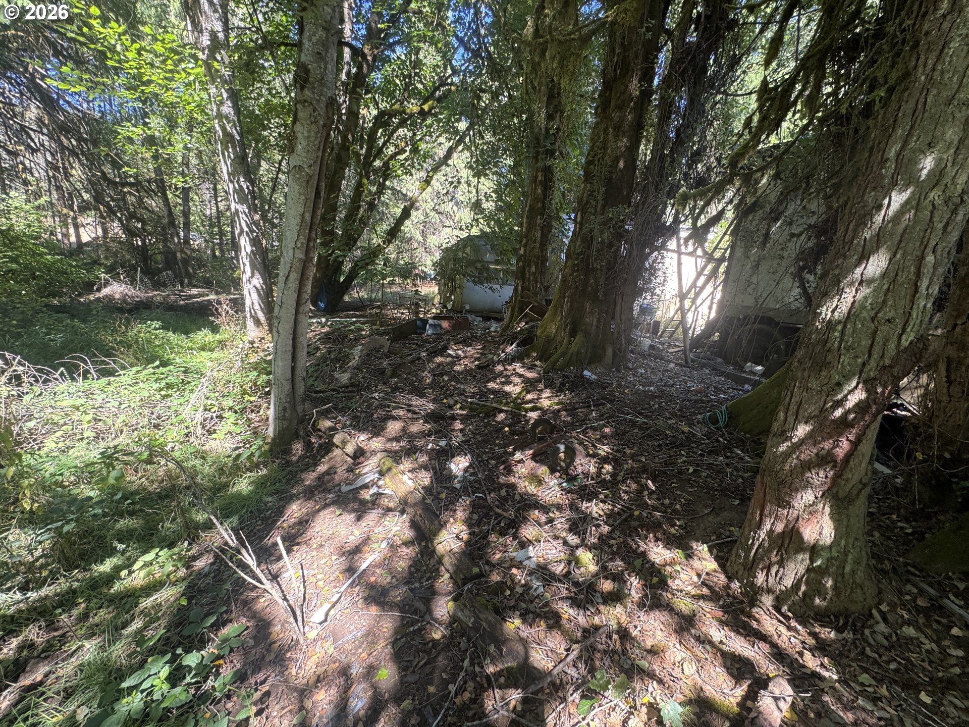 718 LEES CREEK RD, Myrtle Creek, OR 97457, photo 3 of 16