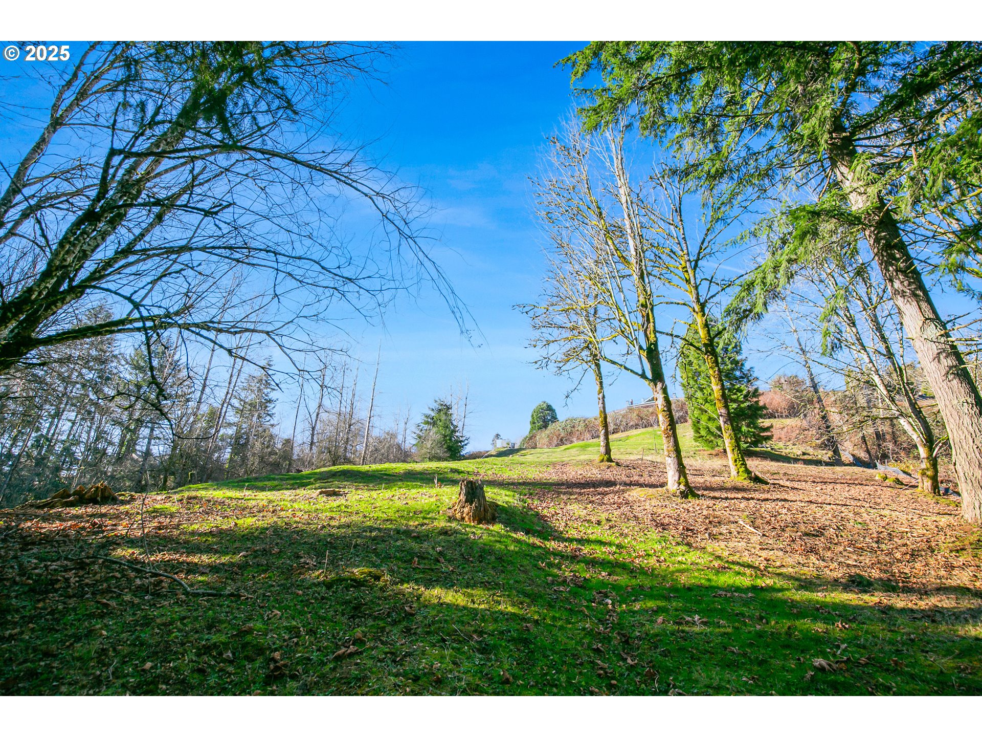 0 SE Dorset LN, Happy Valley, OR 97086, photo 6 of 14