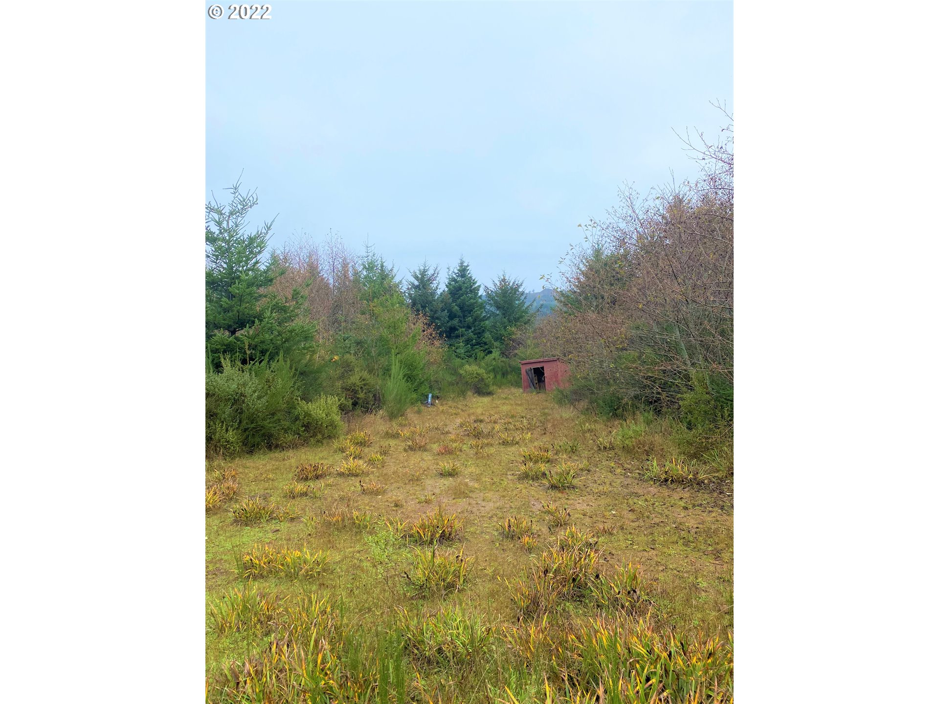 Mill Stream RD, Gold Beach, OR 97444, photo 4 of 33