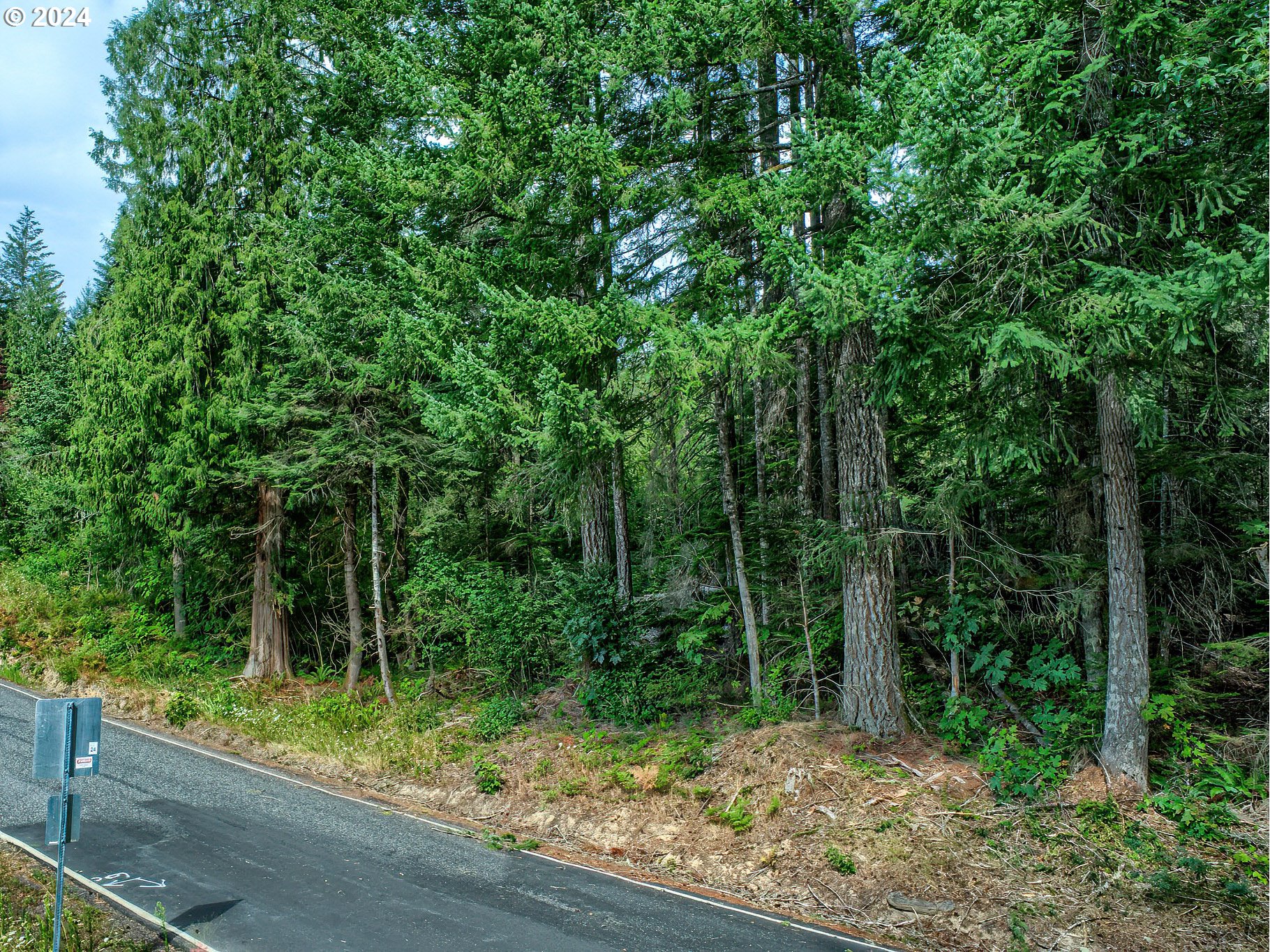 BEAR CREEK RD, Carson, WA 98610, photo 6 of 8