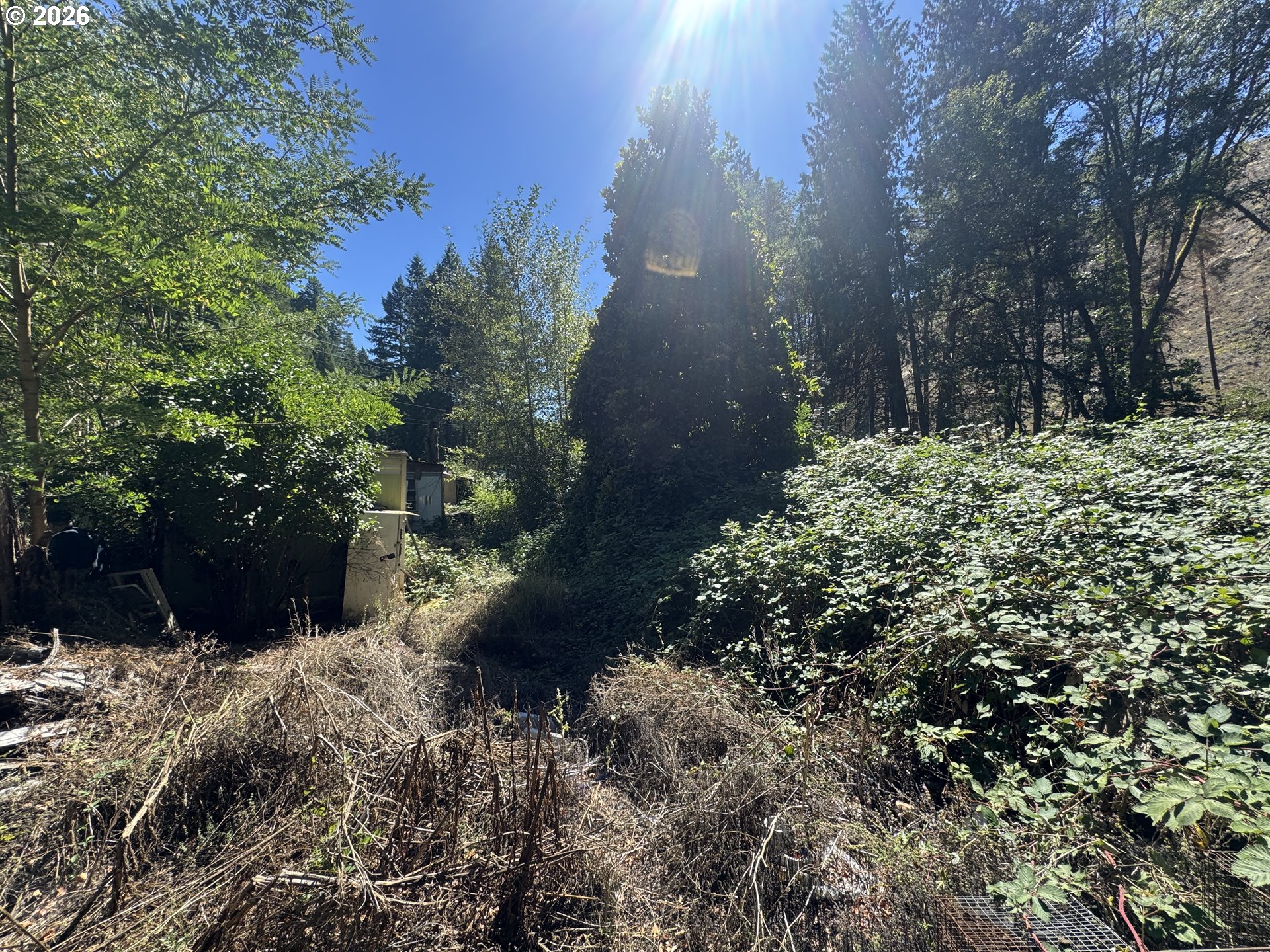 718 LEES CREEK RD, Myrtle Creek, OR 97457, photo 4 of 16
