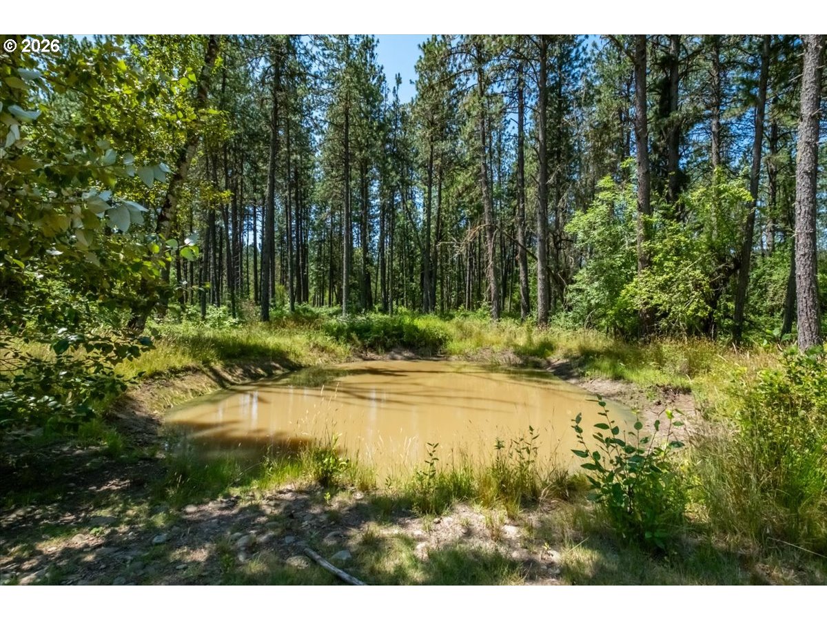29727 SANTIAM TERRACE RD, Lebanon, OR 97355, photo 4 of 35