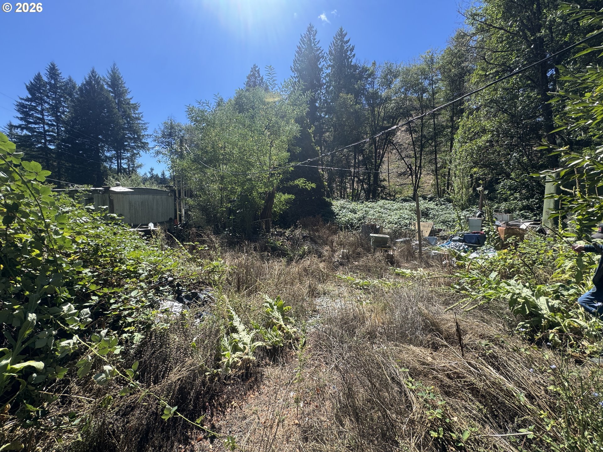 718 LEES CREEK RD, Myrtle Creek, OR 97457, photo 2 of 16