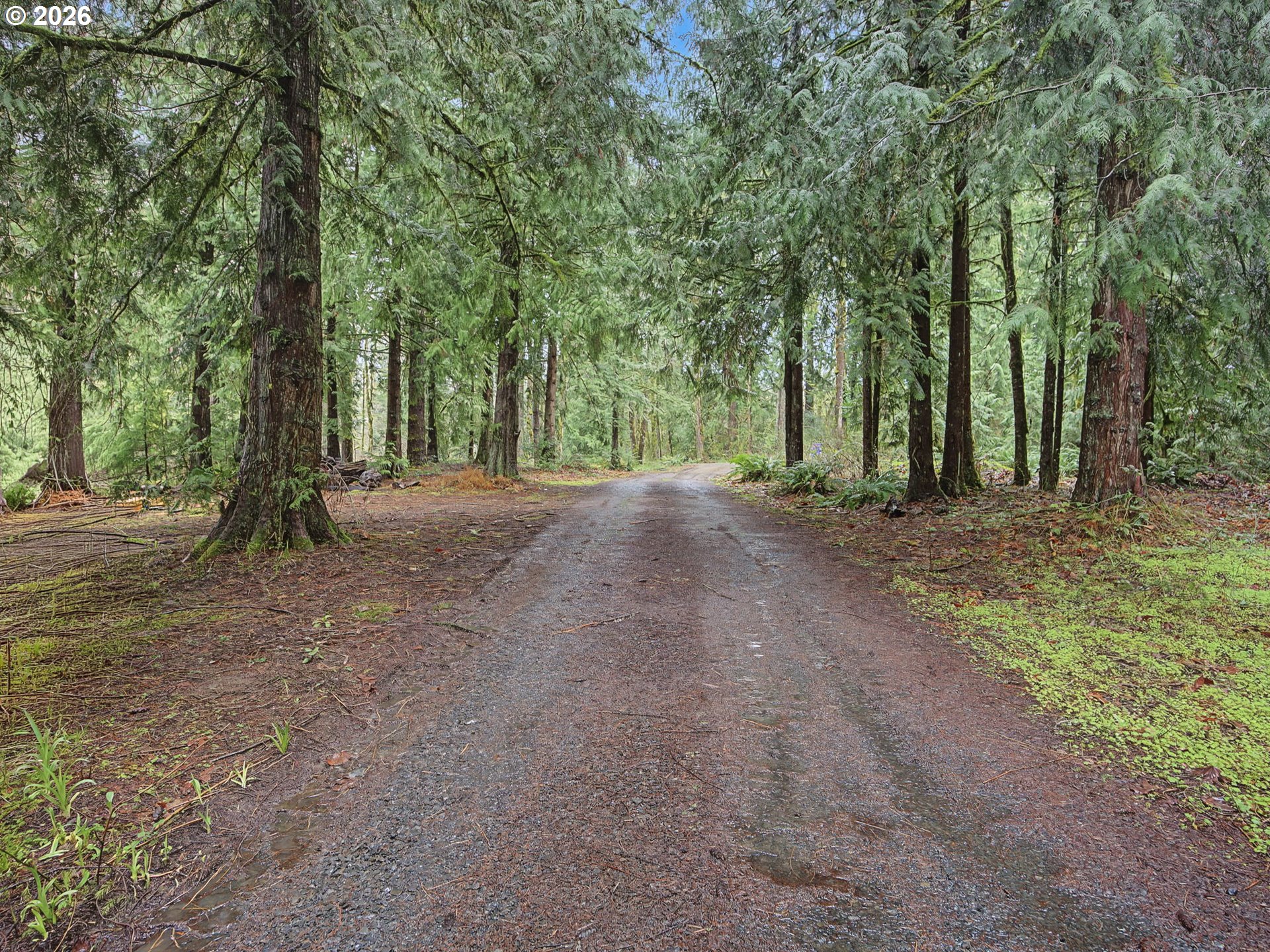 41180 SE KUBITZ RD, Sandy, OR 97055, photo 4 of 41