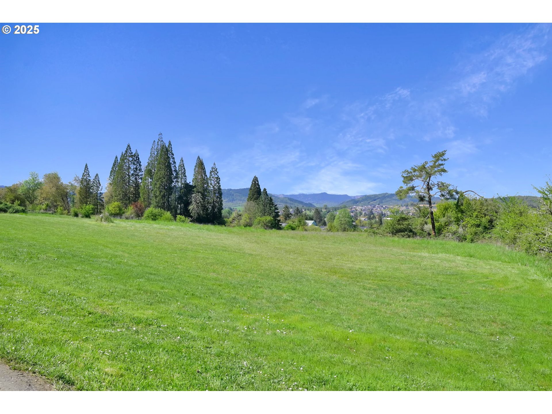 1878 TRAILS END LN, Sutherlin, OR 97479, photo 5 of 36