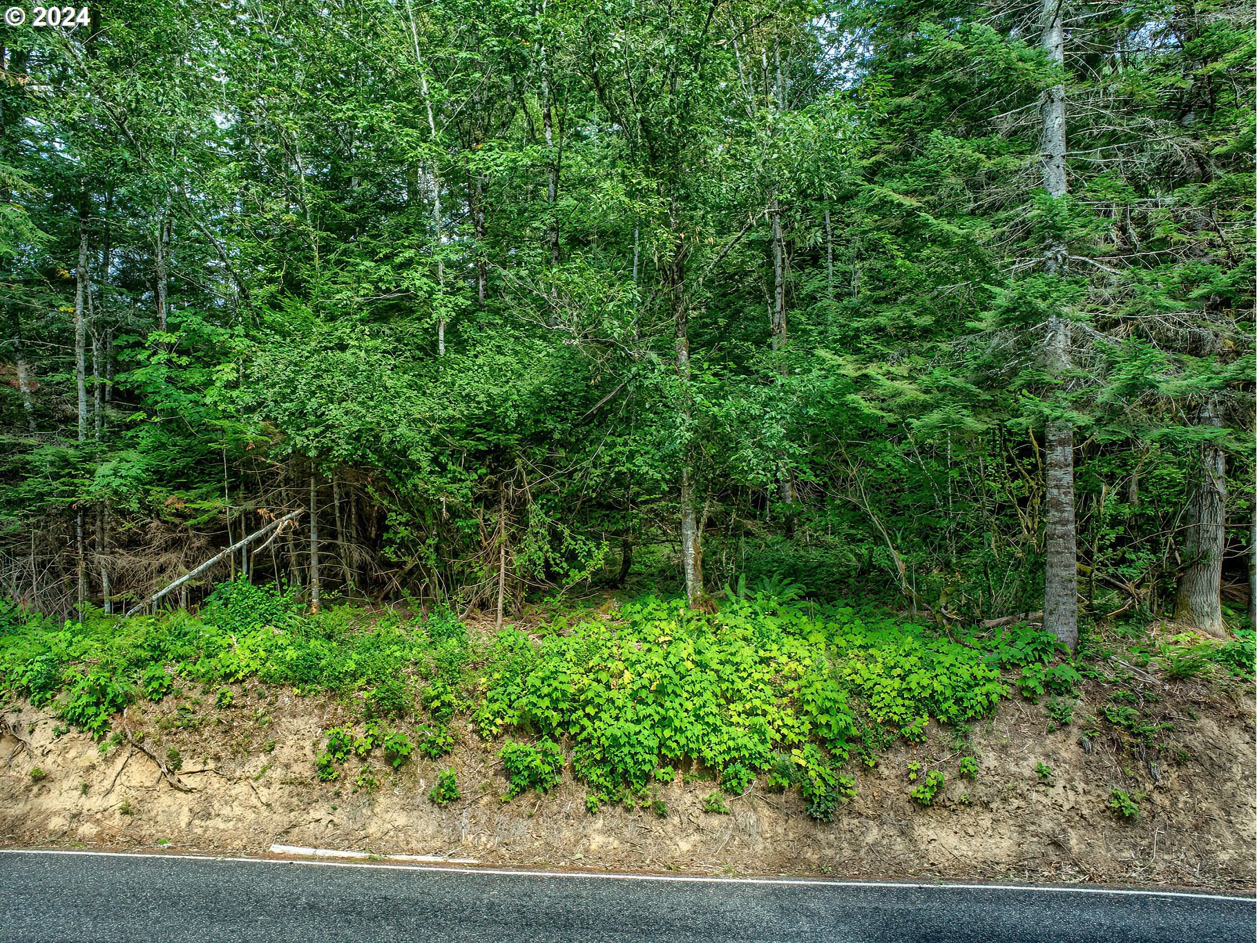 BEAR CREEK RD, Carson, WA 98610, photo 7 of 8