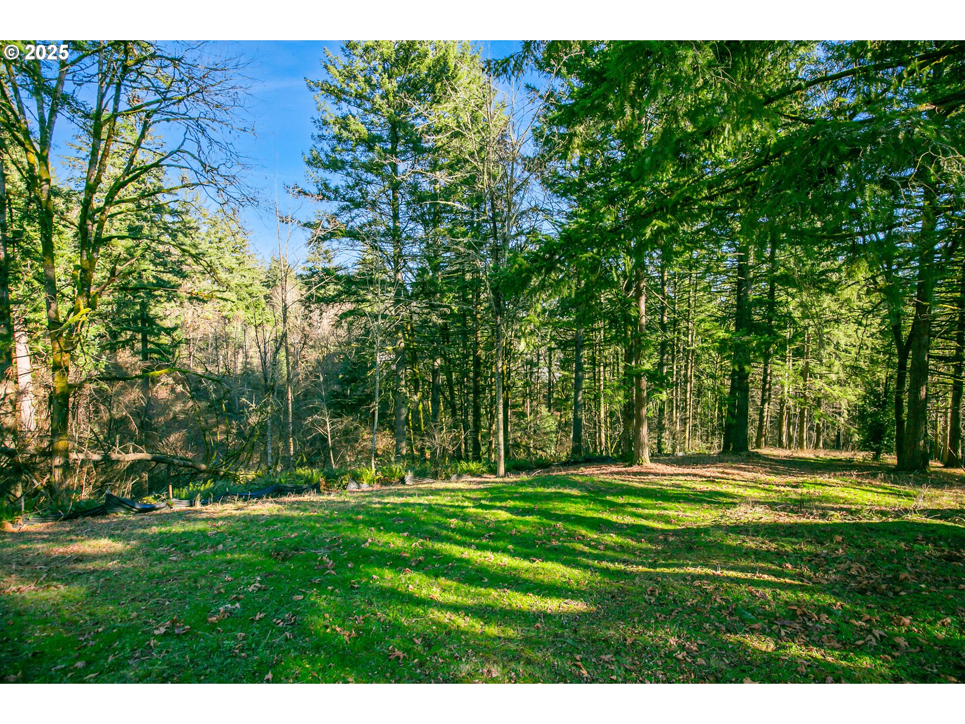0 SE Dorset LN, Happy Valley, OR 97086, photo 7 of 14