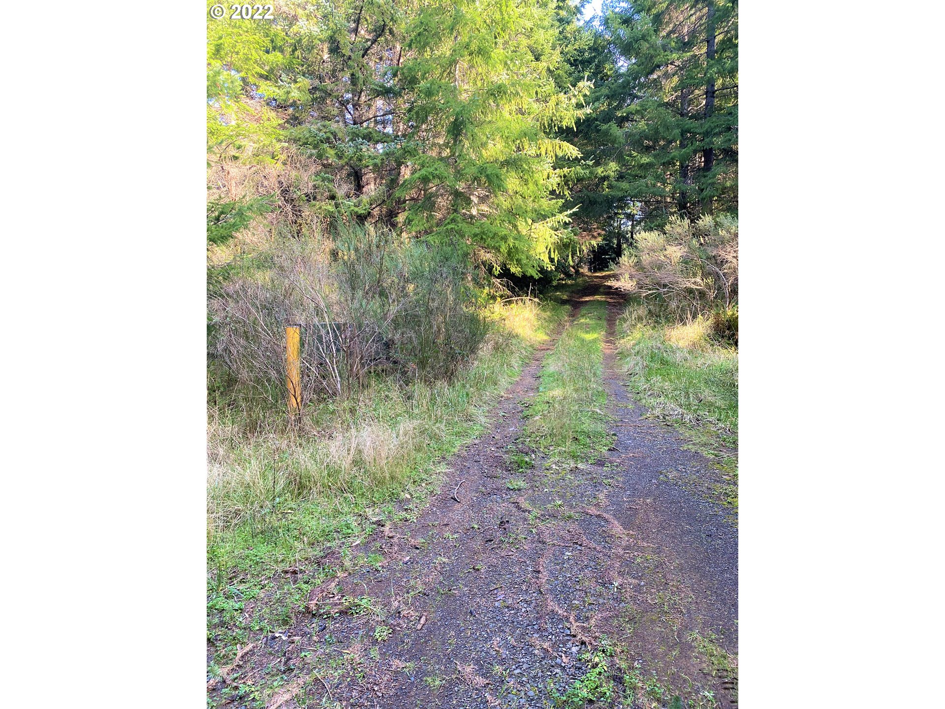 Mill Stream RD, Gold Beach, OR 97444, photo 5 of 33