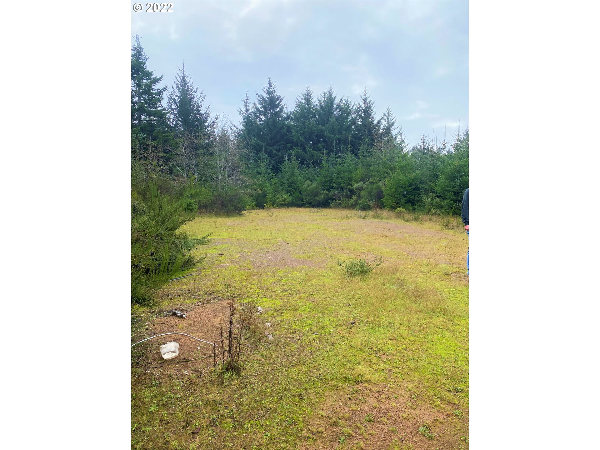 Mill Stream RD, Gold Beach, OR 97444, photo 3 of 33
