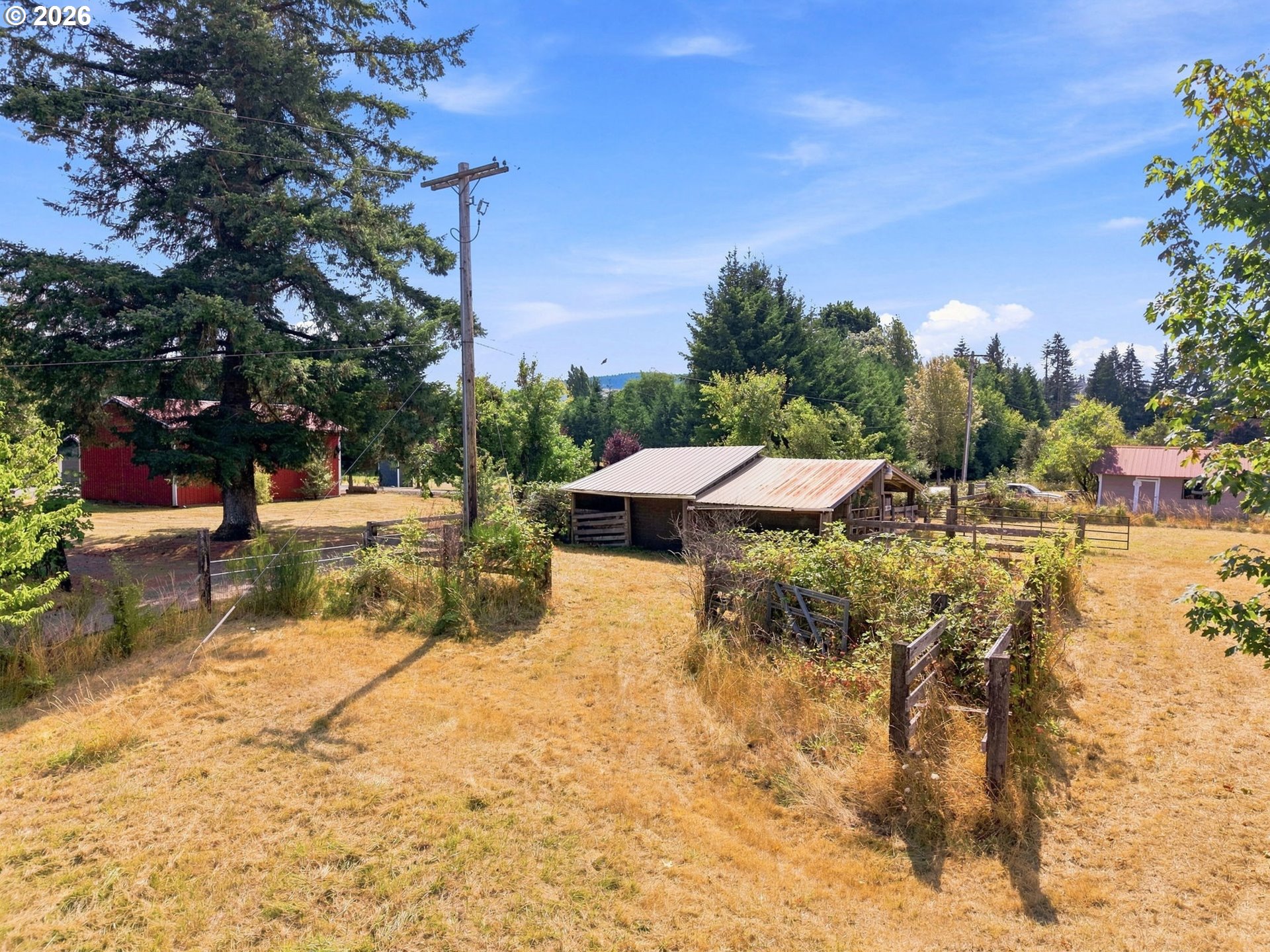 0 CEDAR ST, Pe Ell, WA 98572, photo 6 of 25