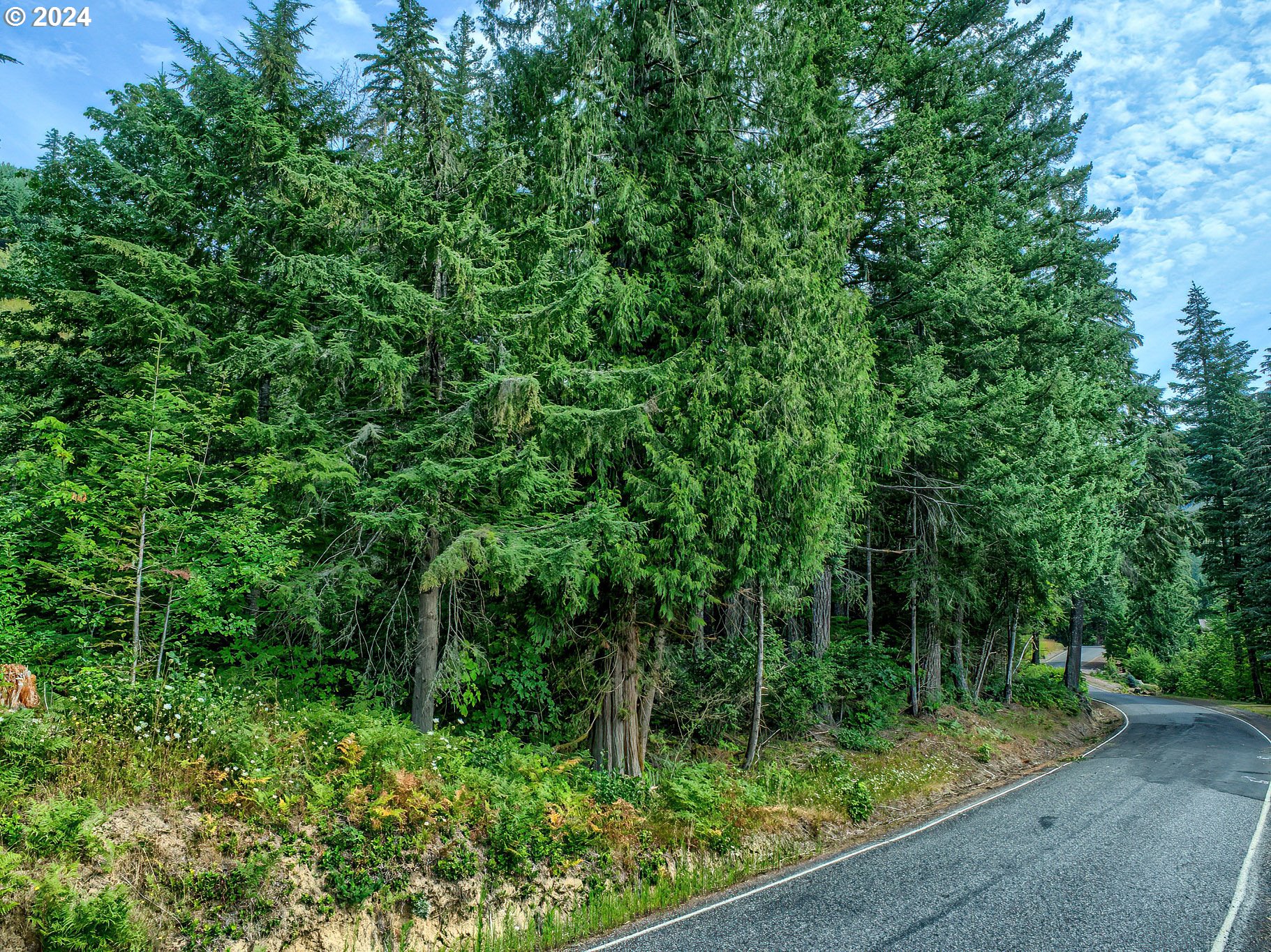 BEAR CREEK RD, Carson, WA 98610, photo 5 of 8