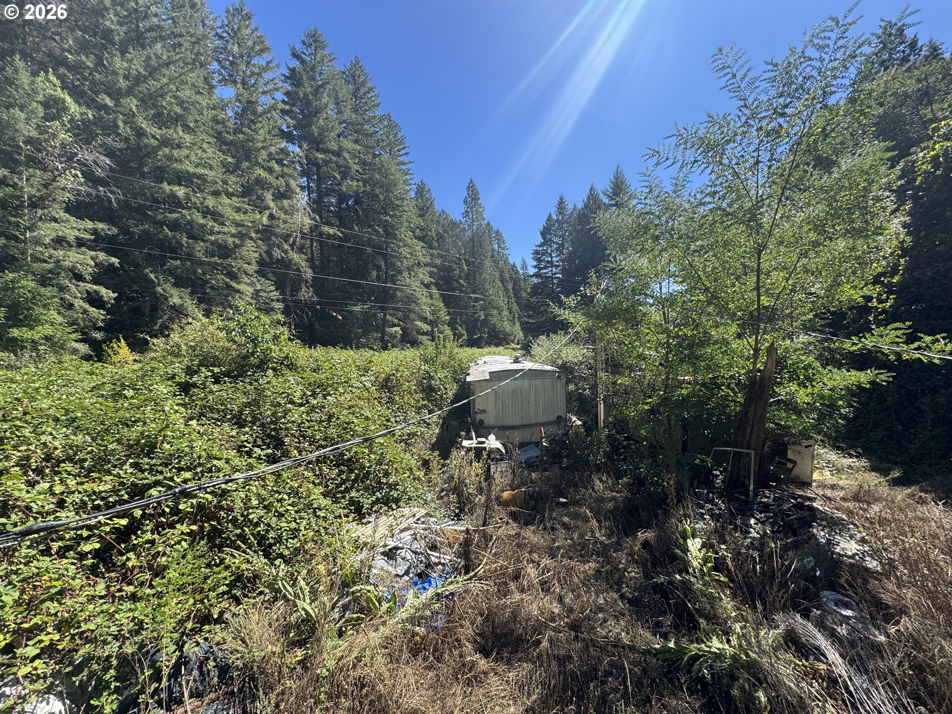 718 LEES CREEK RD, Myrtle Creek, OR 97457, photo 8 of 16