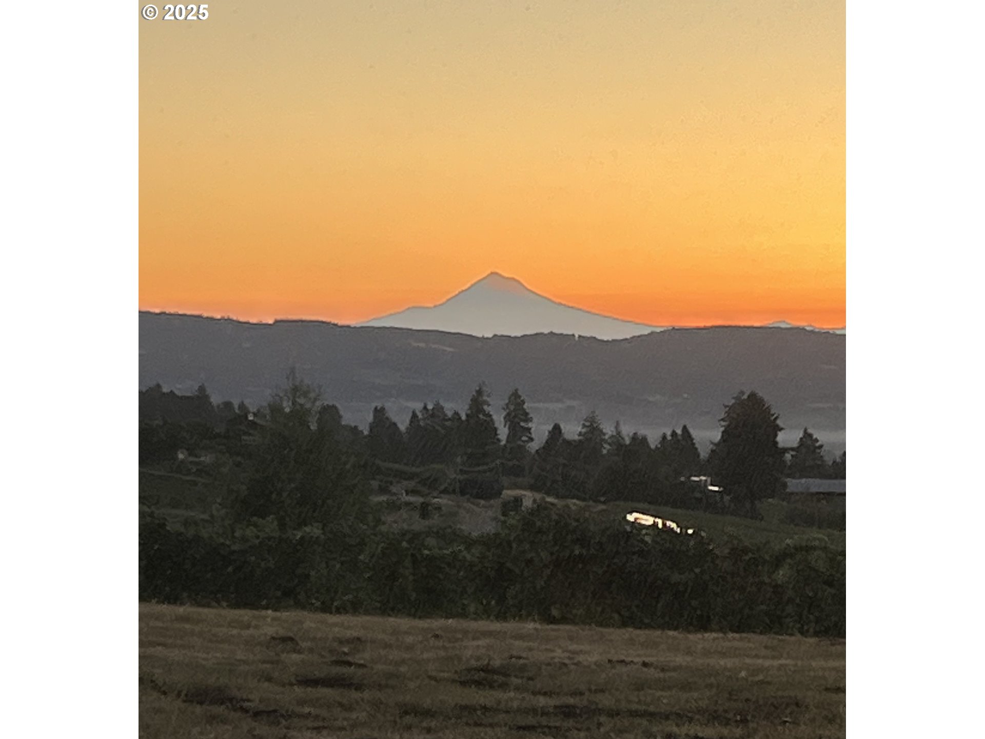 9325 NE WORDEN HILL RD, Dundee, OR 97115, photo 4 of 48