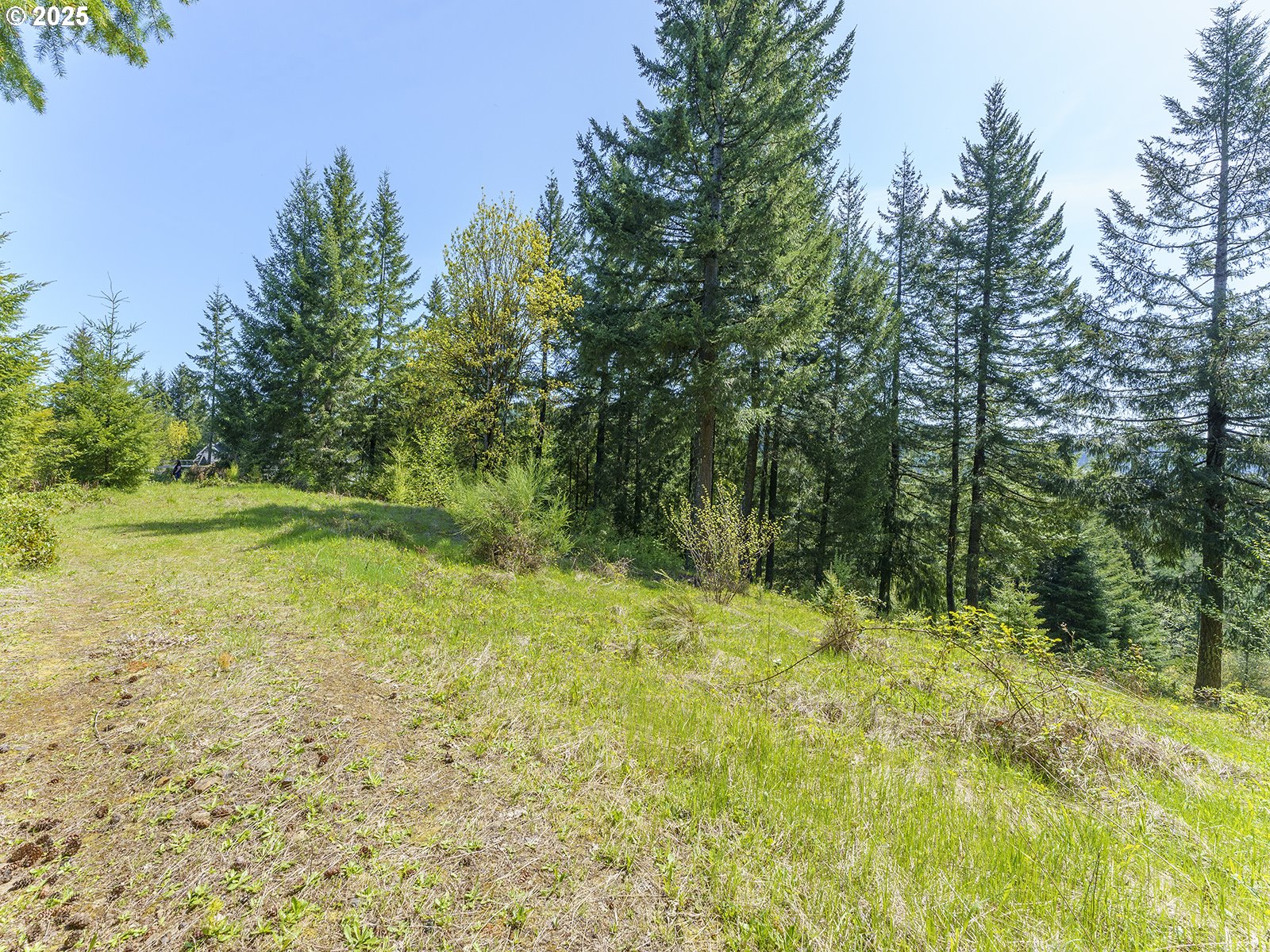 25308 NW MOUNTAIN DR, Banks, OR 97106, photo 2 of 20