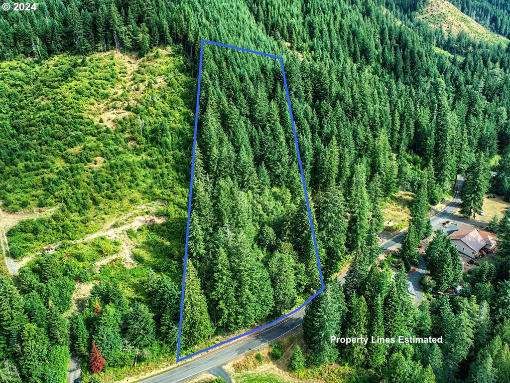Bear Creek Rd