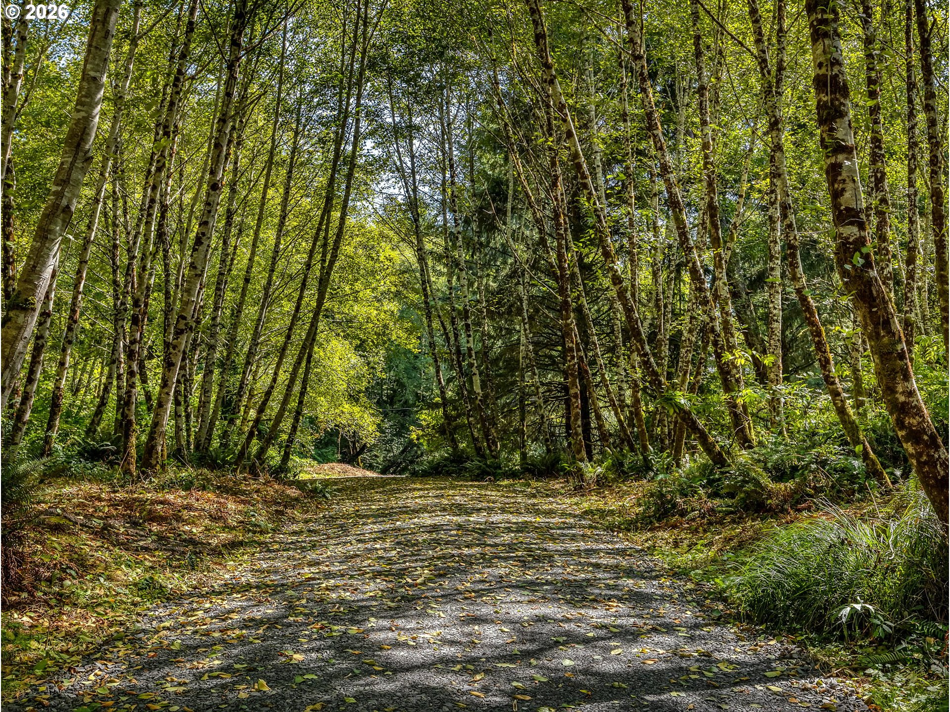 Land end of Beech ST, Cannon Beach, OR 97110, photo 6 of 41