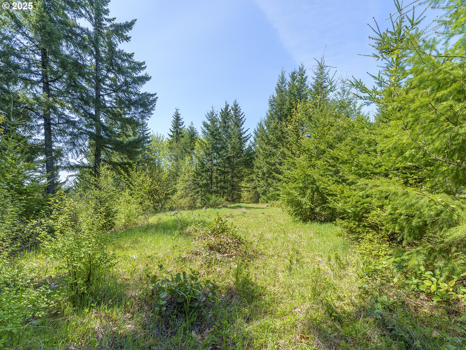 25308 NW MOUNTAIN DR, Banks, OR 97106, photo 6 of 20