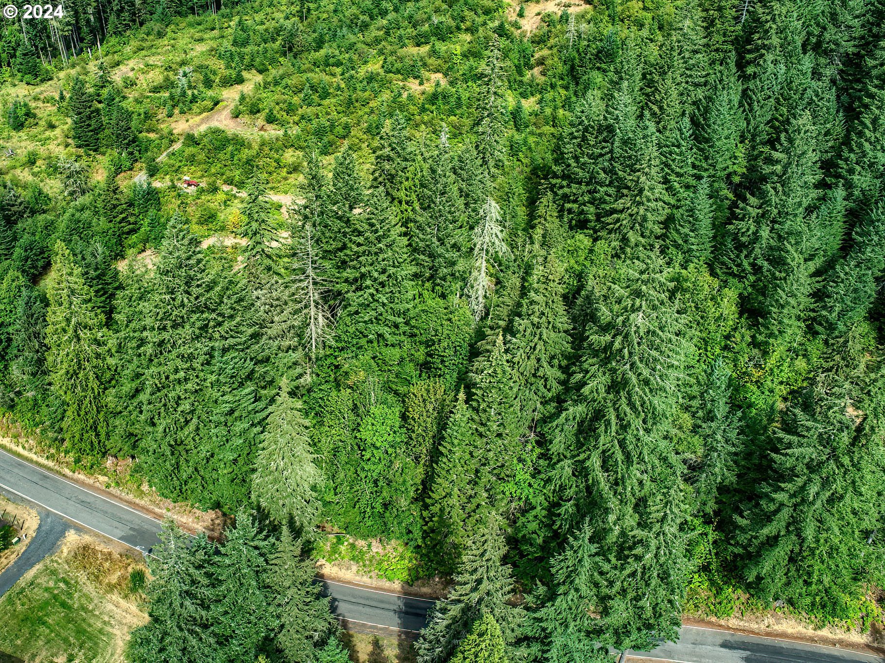 BEAR CREEK RD, Carson, WA 98610, photo 3 of 8
