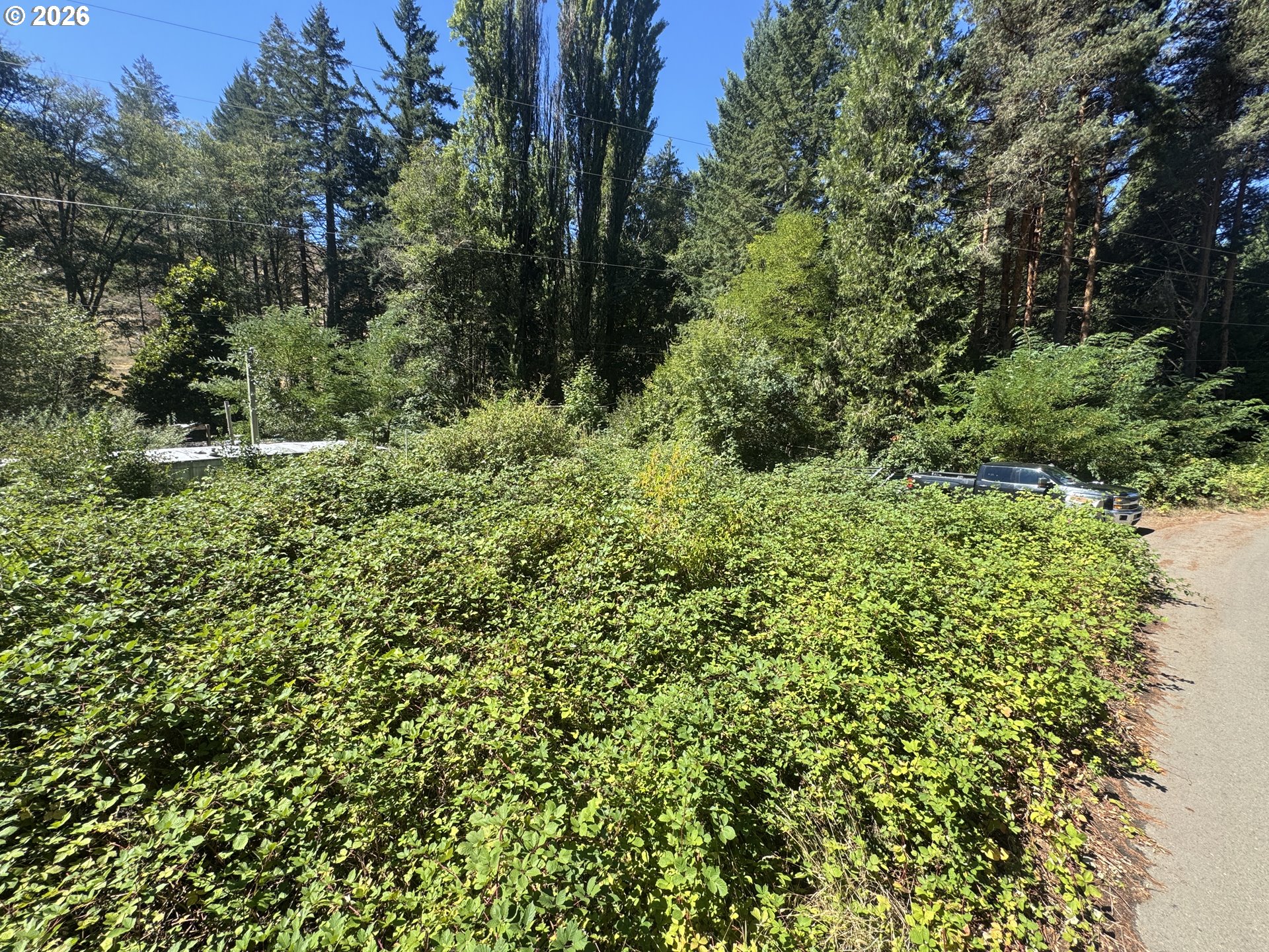 718 LEES CREEK RD, Myrtle Creek, OR 97457, photo 5 of 16