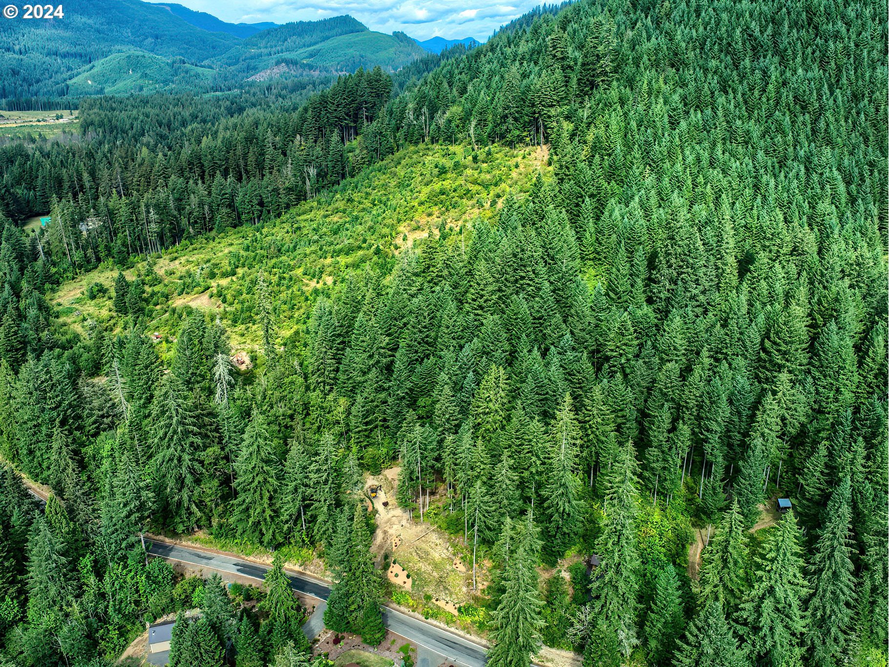 BEAR CREEK RD, Carson, WA 98610, photo 2 of 8