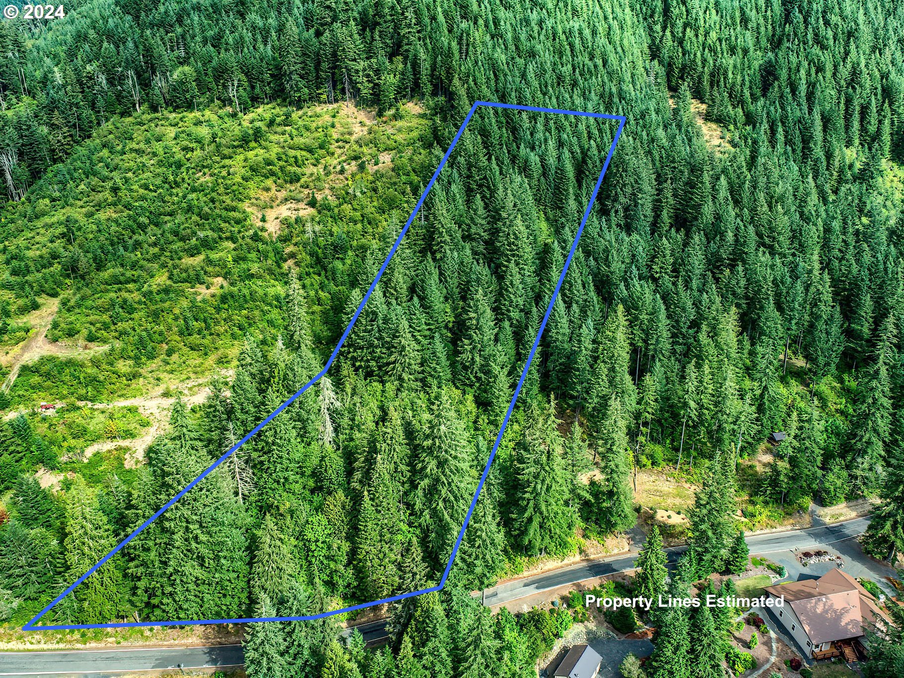 BEAR CREEK RD, Carson, WA 98610, photo 4 of 8