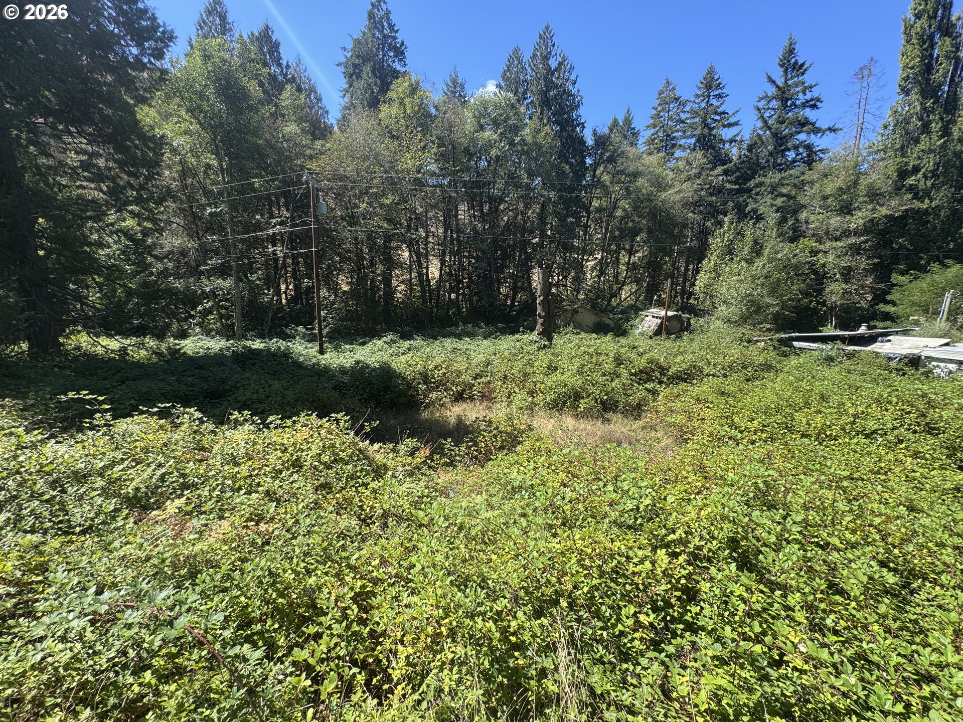 718 LEES CREEK RD, Myrtle Creek, OR 97457, photo 7 of 16