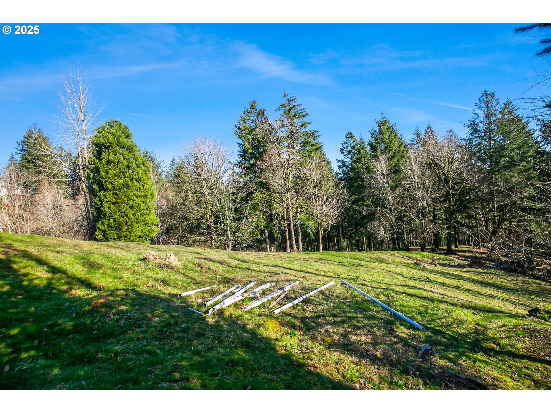 0 SE Dorset LN, Happy Valley, OR 97086, photo 8 of 14
