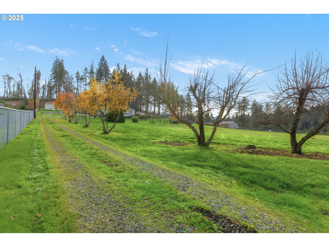 35986 ENTERPRISE RD, Creswell, OR 97426, photo 6 of 48