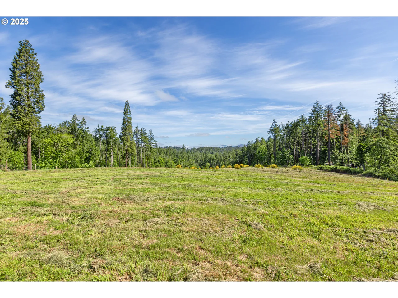 Spring Blvd Lot02500, Eugene, OR 97405, photo 2 of 29