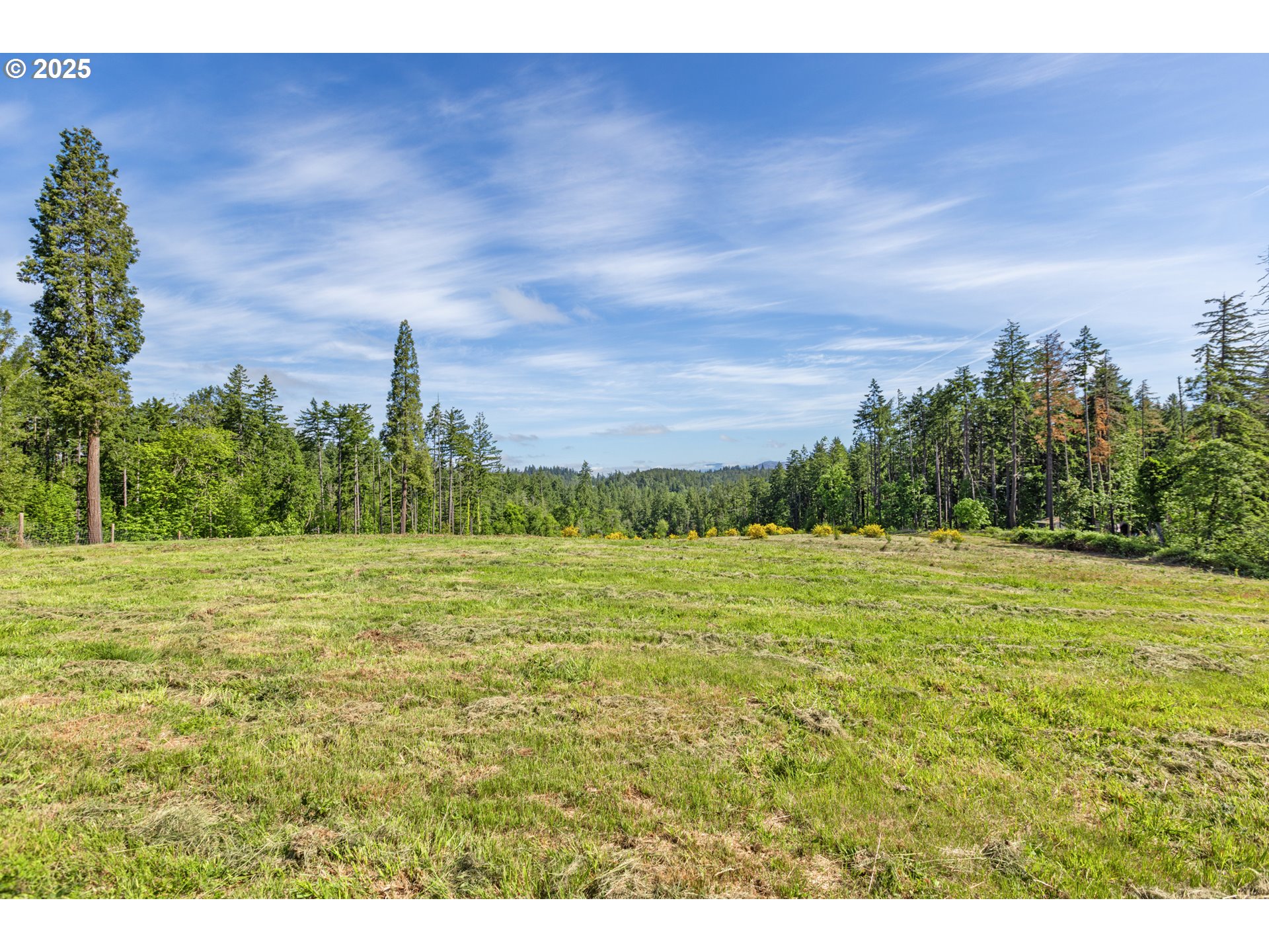 Spring Blvd Lot02500, Eugene, OR 97405, photo 2 of 29