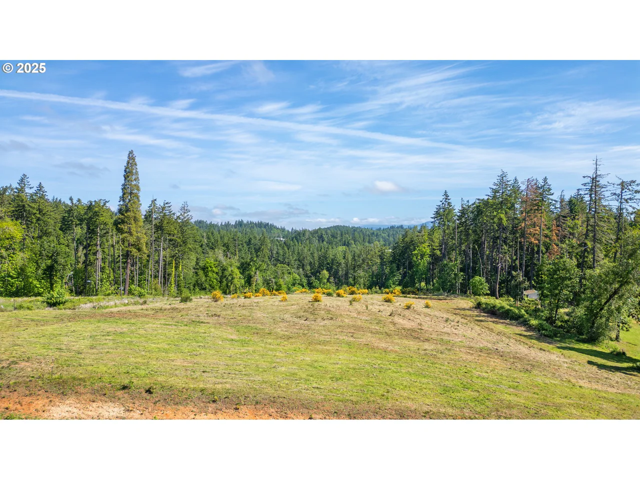 Spring Blvd Lot02500, Eugene, OR 97405, photo 3 of 29
