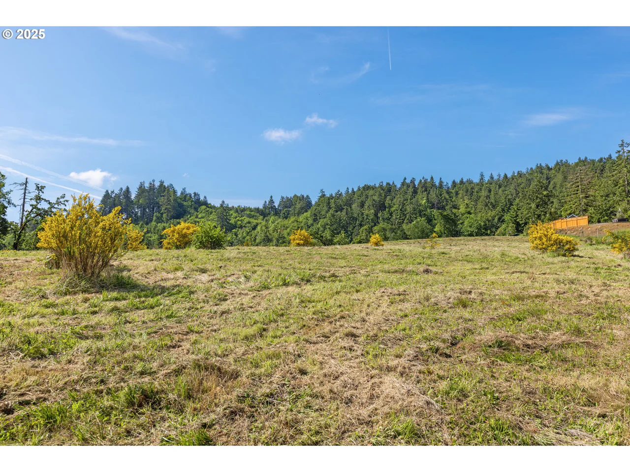 Spring Blvd Lot02500, Eugene, OR 97405, photo 4 of 29