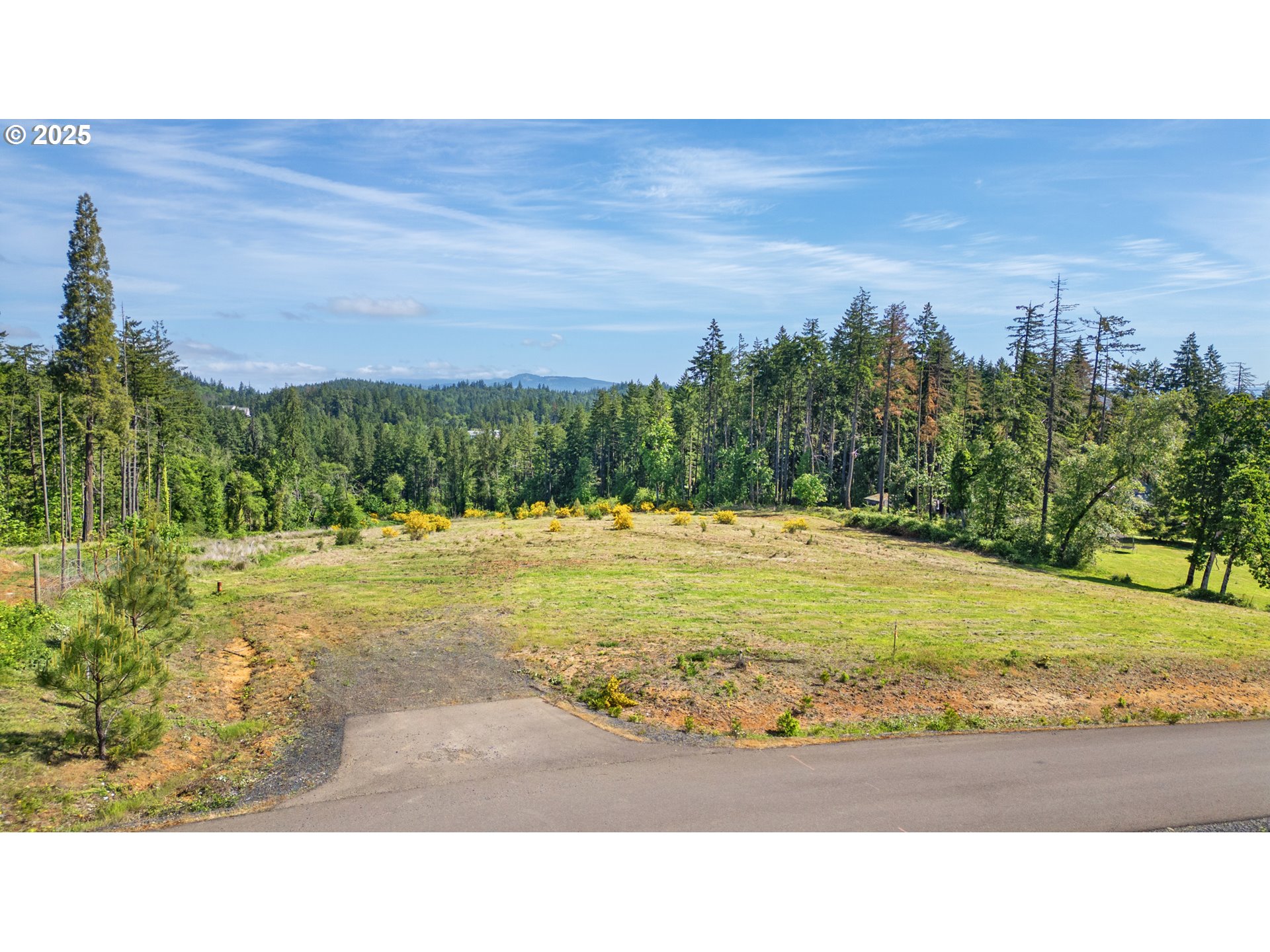 Spring Blvd Lot02500