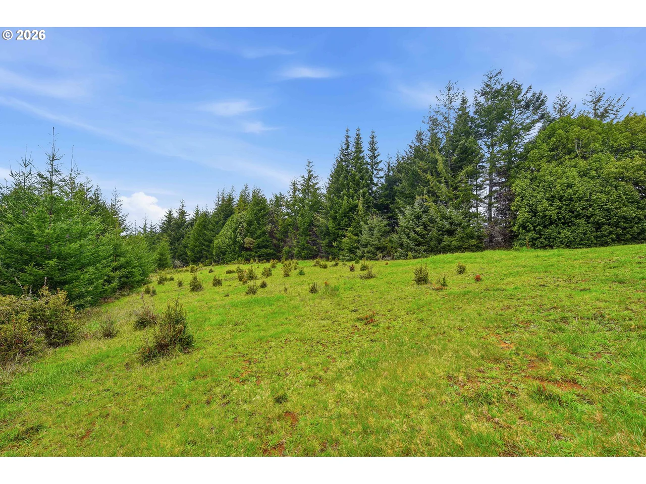 0 East Bay RD 1700, North Bend, OR 97459, photo 4 of 10