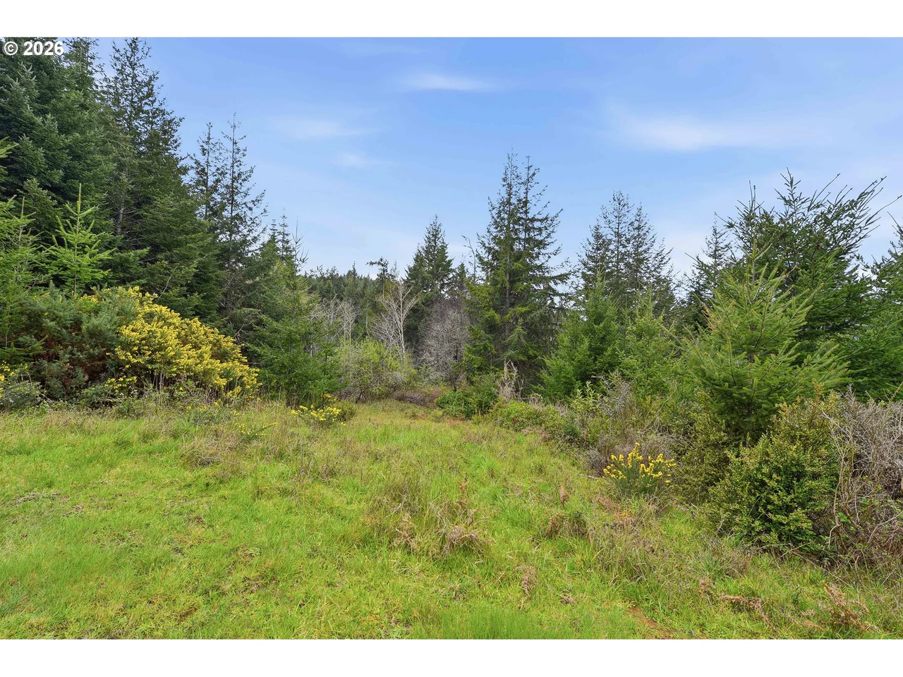 0 East Bay RD 1700, North Bend, OR 97459, photo 5 of 10