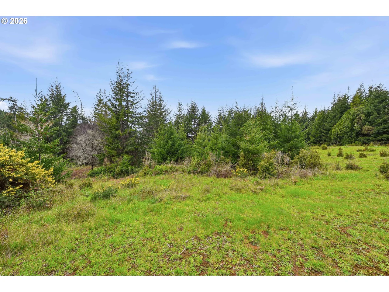 0 East Bay RD 1700, North Bend, OR 97459, photo 6 of 10