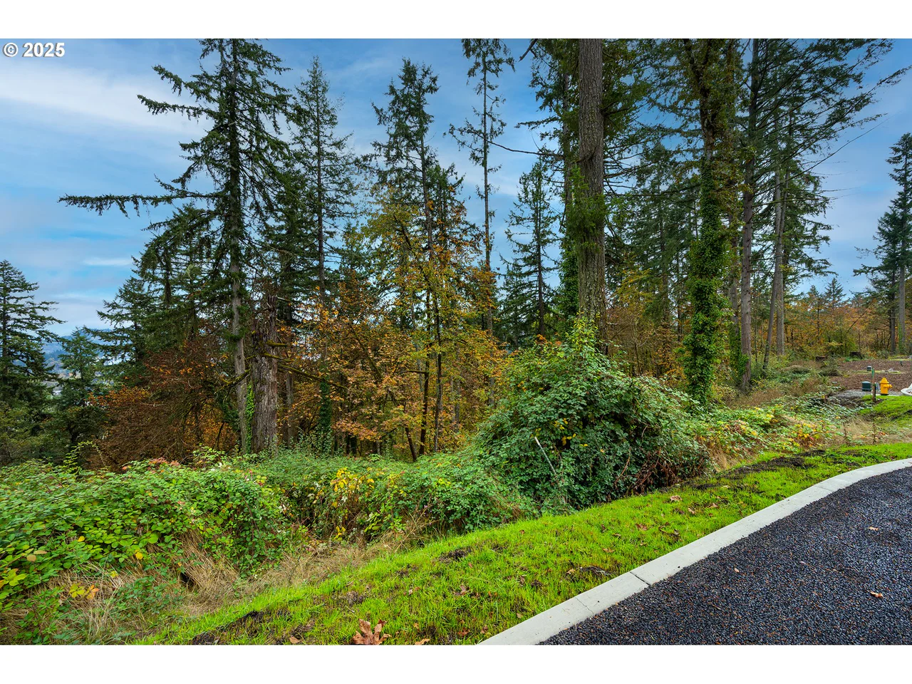 2629 Cupola DR 10, Eugene, OR 97403, photo 4 of 8