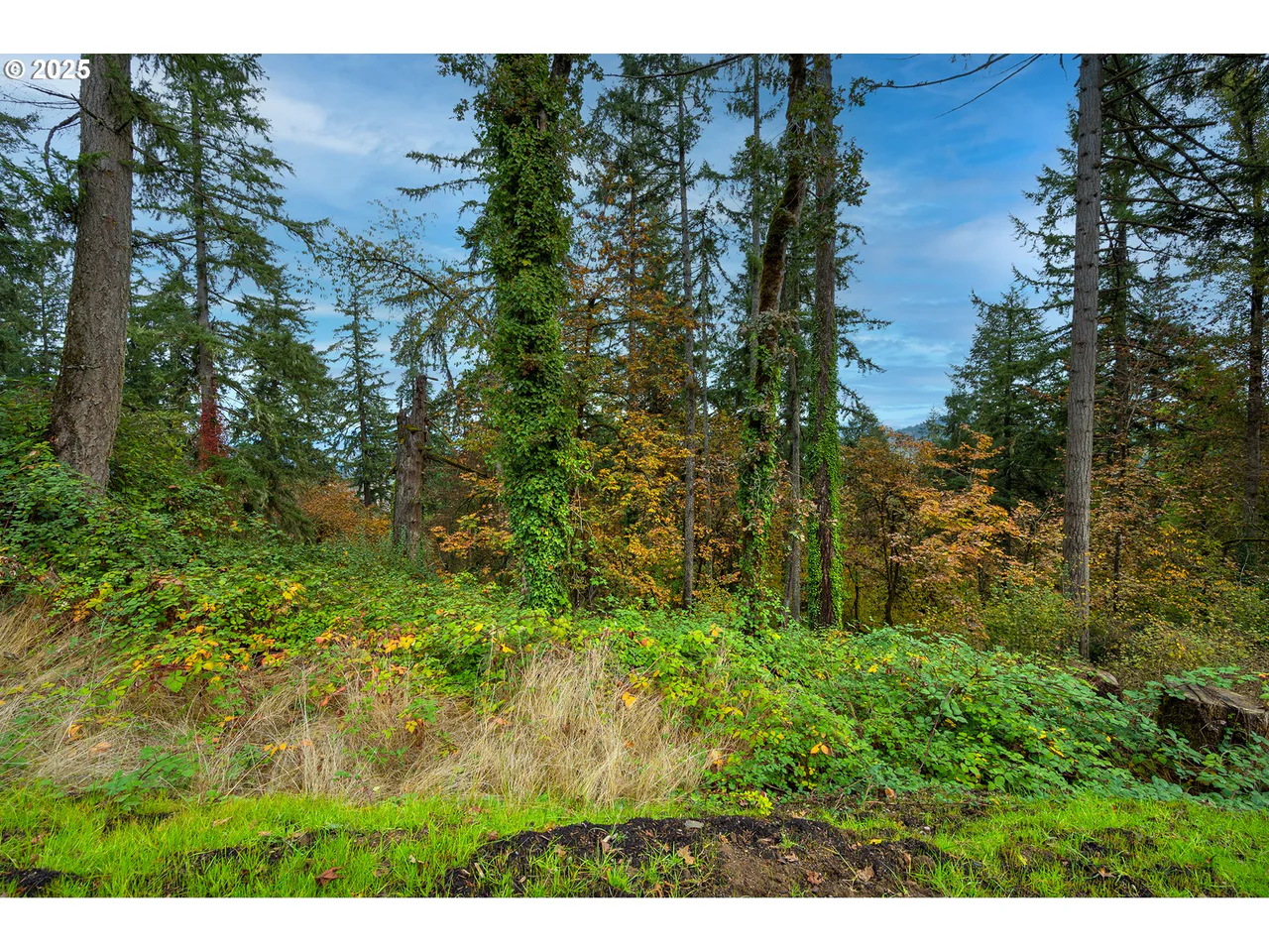 2629 Cupola DR 10, Eugene, OR 97403, photo 5 of 8