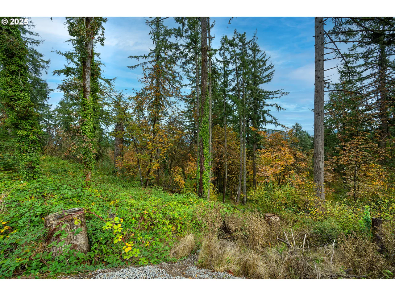 2629 Cupola DR 10, Eugene, OR 97403, photo 6 of 8