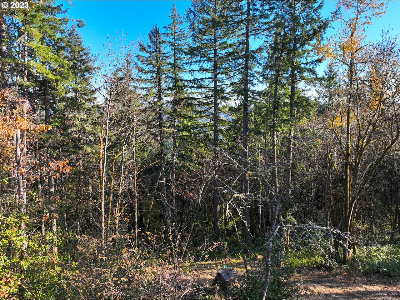 2645 Cupola DR 13, Eugene, OR 97403, photo 3 of 9